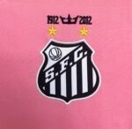 12/13 Santos Away Classic Retro Commemorative Football Jersey, Custom Embroidered Sportswear - Image 9