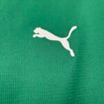 2026/2027 Palmeiras Home Jersey - Image 5